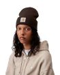 Mujer con Gorro de invierno Carhartt WIP Short Watch MarrónTobacco Unisex