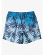 Short de natación Quiksilver Everyday Mix Volley 14'' Blue Fog para chico 8-16 años posterior