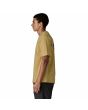 Hombre con Camiseta Patagonia M's Flying Fish Responsibili-Tee Amarilla lateral
