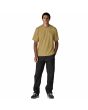 Hombre con Camiseta Patagonia M's Flying Fish Responsibili-Tee Amarilla regular fit