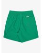 Short de natación Quiksilver Everyday Solid Volley 14 Leprechaun para niño 8-16 años posterior
