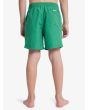 Niño con bañador Quiksilver Everyday Solid Volley 14 Verde Leprechaun posterior