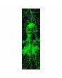 Lija Mob Grip Stranger Things Vecna – efecto Glow In The Dark verde encendido