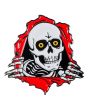 Pin de solapa Powell Peralta Ripper Brilla en la oscuridad