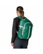 Mujer con Mochila Patagonia Refugio Daypack 26L Verde Gema Unisex
