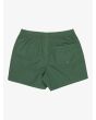 Bañador Quiksilver Everyday Solid Volley 15in verde Forest Heather para hombre posterior