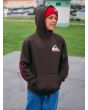 Niño con sudadera de capucha Quiksilver Youth Omni Logo Marrón lifestyle