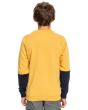 Niño con Sudadera sin capucha Quiksilver Open Spot amarilla posterior