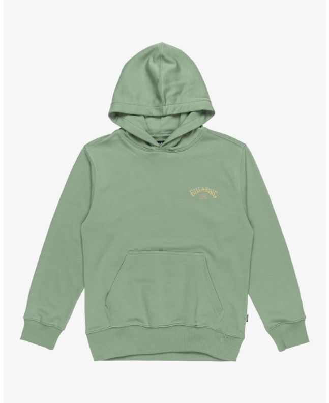 Sudadera con capucha Billabong Youth Foundation Moss para chico 8-16 años