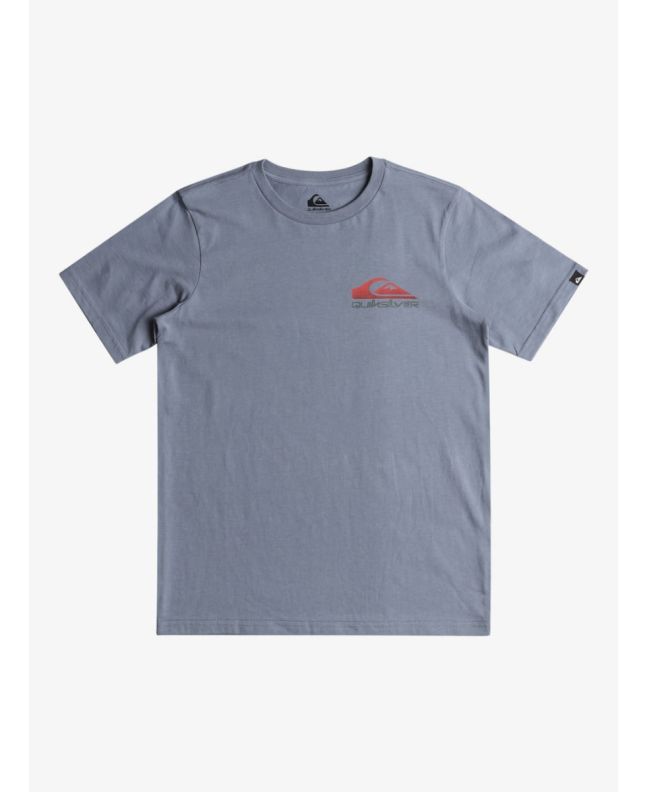 Camiseta de manga corta Quiksilver Omni Wave Youth gris piedra para niño 8-16 años