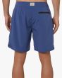 Hombre con Bañador Boardshort Deus Ex Machina Elite 2.0 Azul posterior