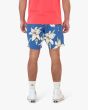 Hombre con Bañador Boardshort Deus Ex Machina Havana Mesh 16" Azul posterior