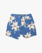 Bañador Boardshort Deus Ex Machina Havana Mesh 16" Azul para hombre posterior