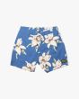 Bañador Boardshort Deus Ex Machina Havana Mesh 16" Azul para hombre