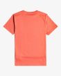 Camiseta de manga corta Billabong Keep It Clean rosa para chico 8 a 16 años posterior