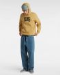 Hombre con Sudadera de capucha Vans Arched Marrón ajuste