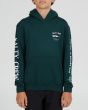 Niño con sudadera de capucha Salty Crew Bruce Boys Hood Fleece Verde frontal