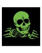 Pin de solapa Powell Peralta Ripper Brilla en la oscuridad brillo 
