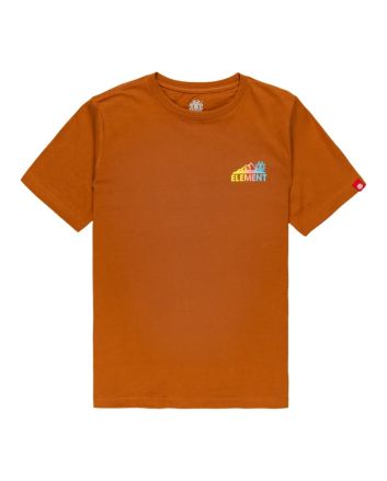 Camiseta de manga corta Element Brand Malta naranja para niños de 8 a 16 años