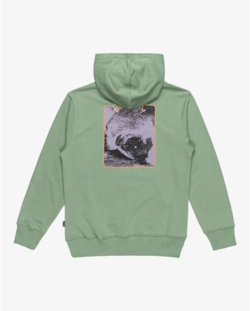 Sudadera con capucha Billabong Youth Foundation Moss para chico 8-16 años