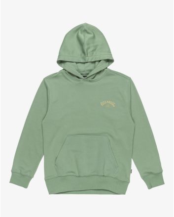 Sudadera con capucha Billabong Youth Foundation Moss para chico 8-16 años